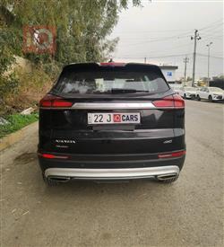 جيلي أزكارا